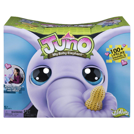 Juno: My Baby Elephant